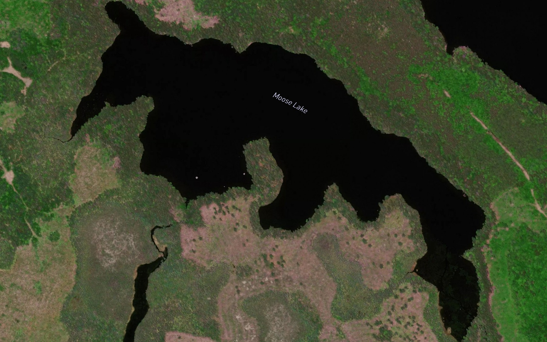 Satellite map of the Moose Lake