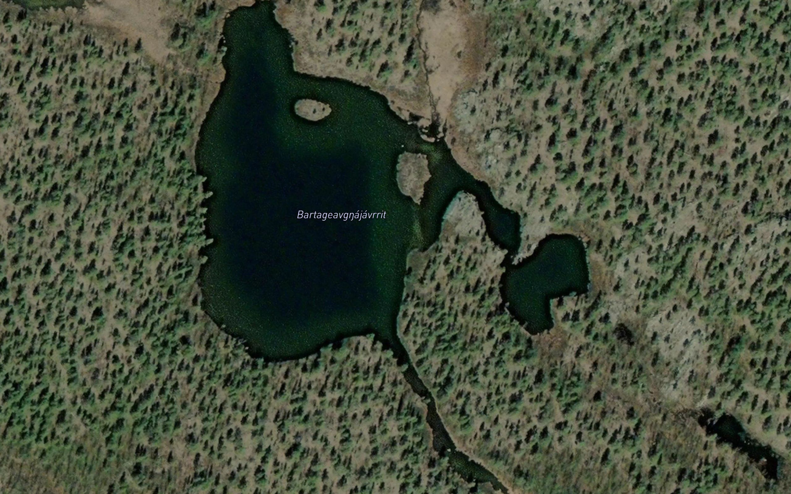Bartageavgnajavrrit
