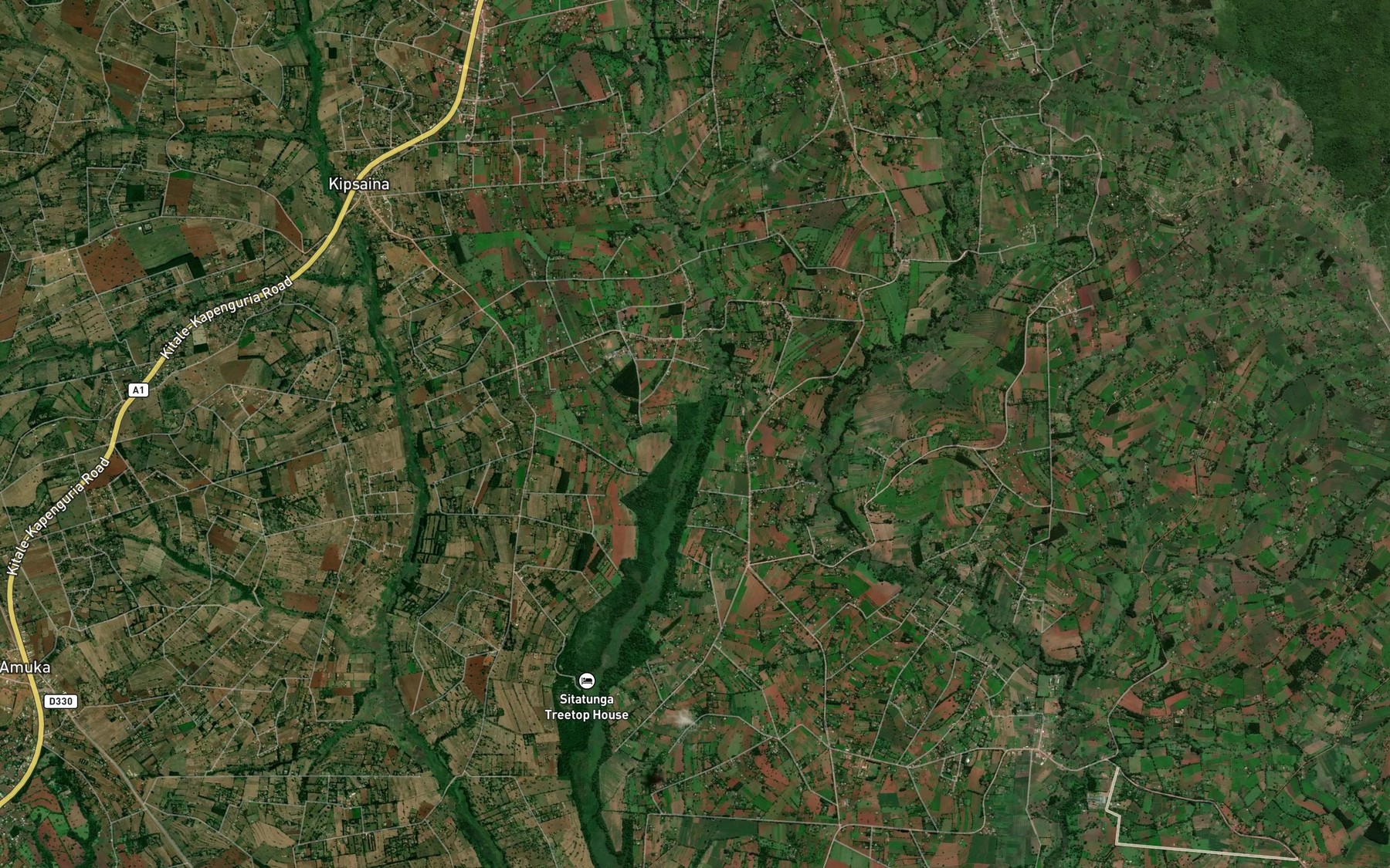 Satellite map of the Saiwa