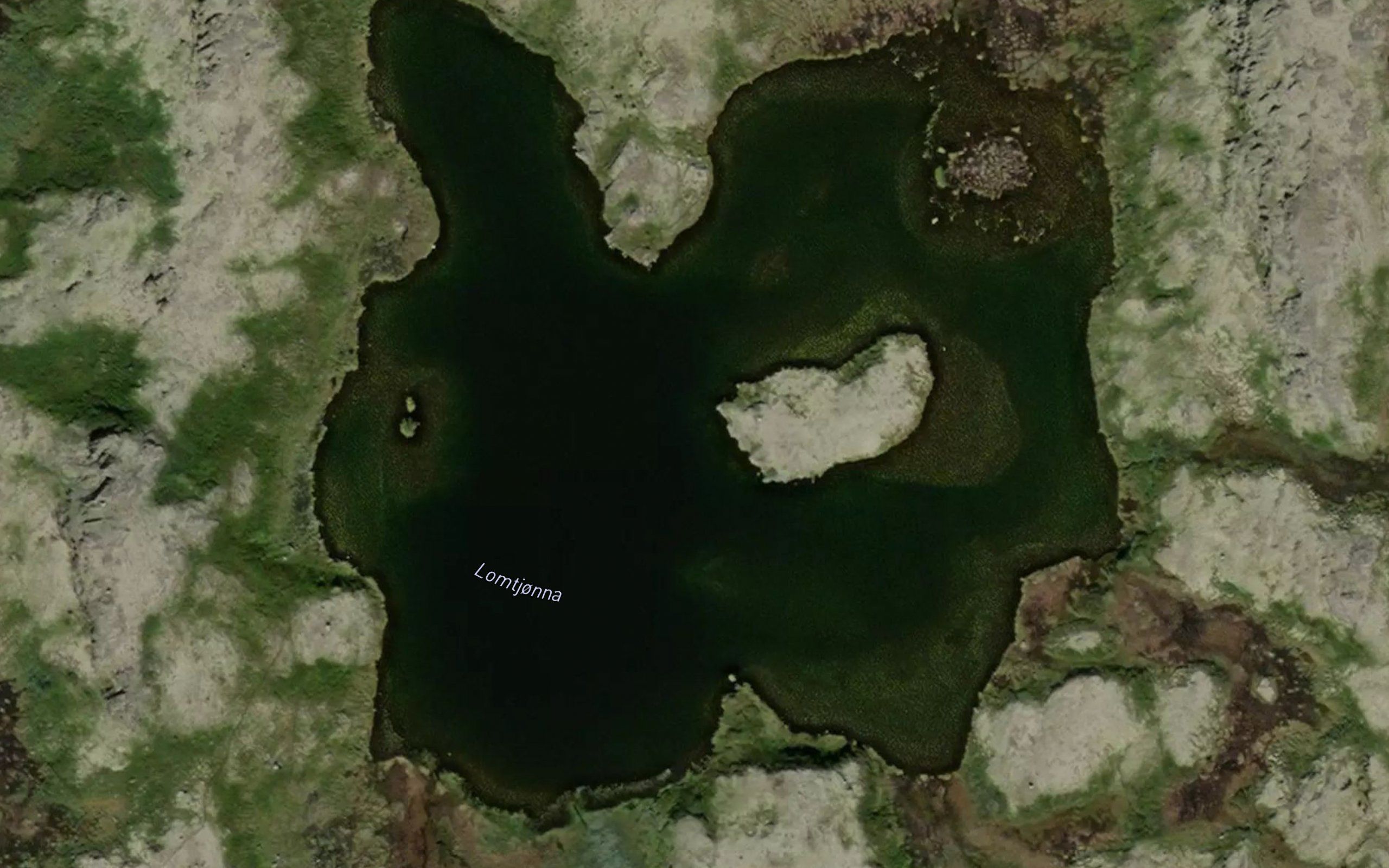 Lomtjonna