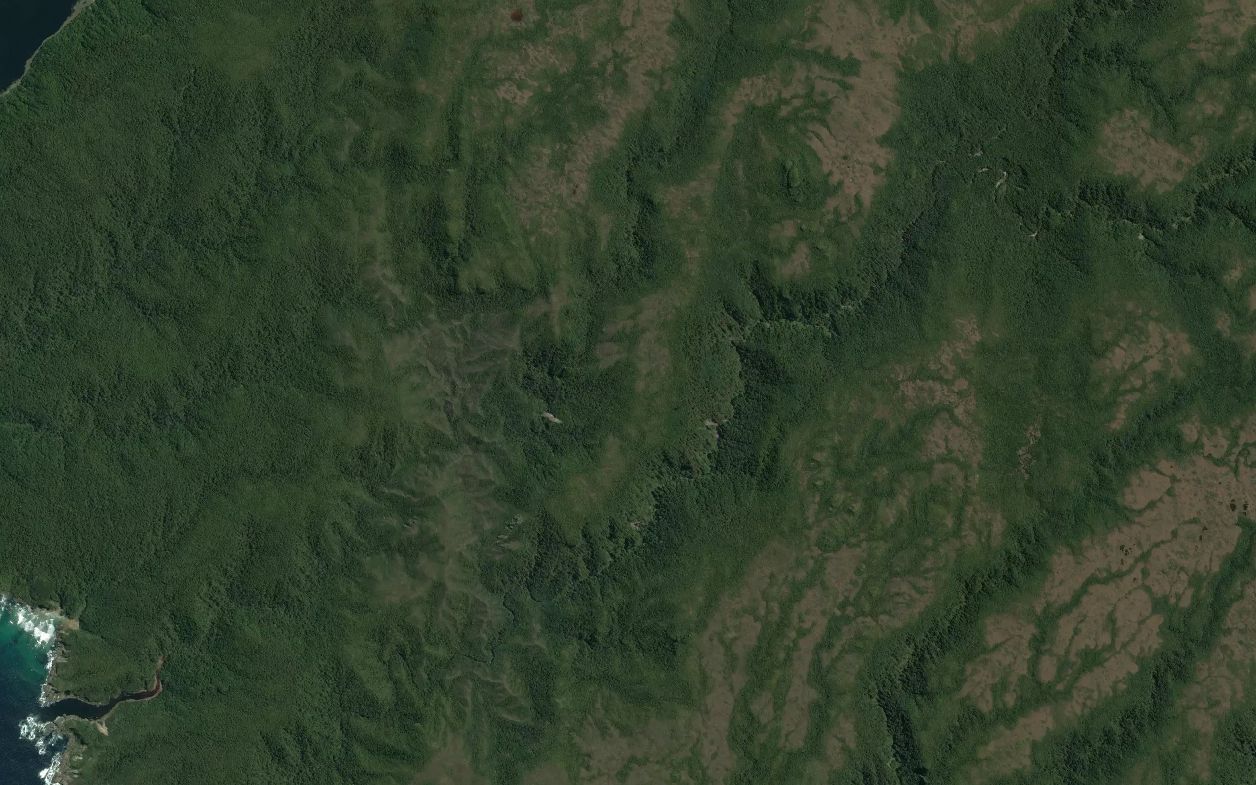 Wilson River