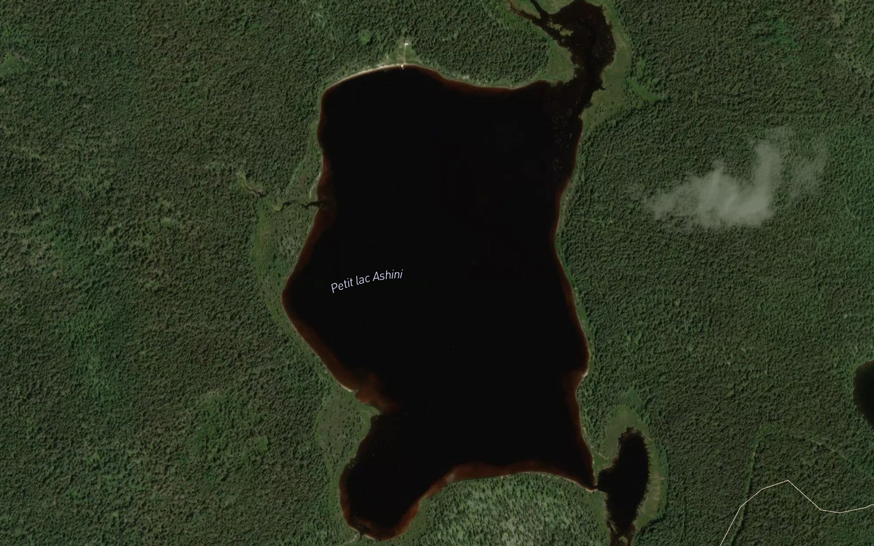 Satellite map of the Petit lac Ashini
