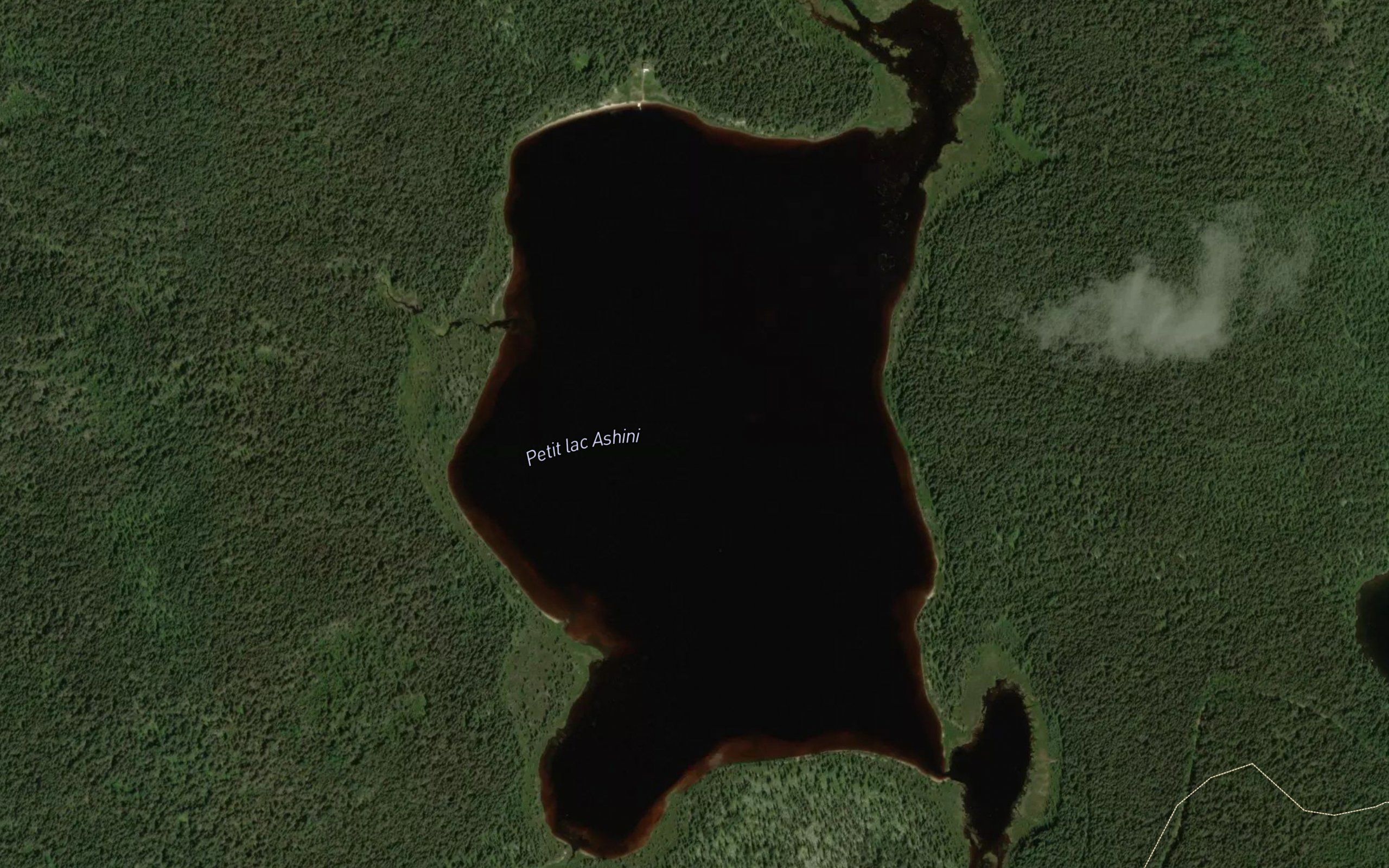 Petit lac Ashini