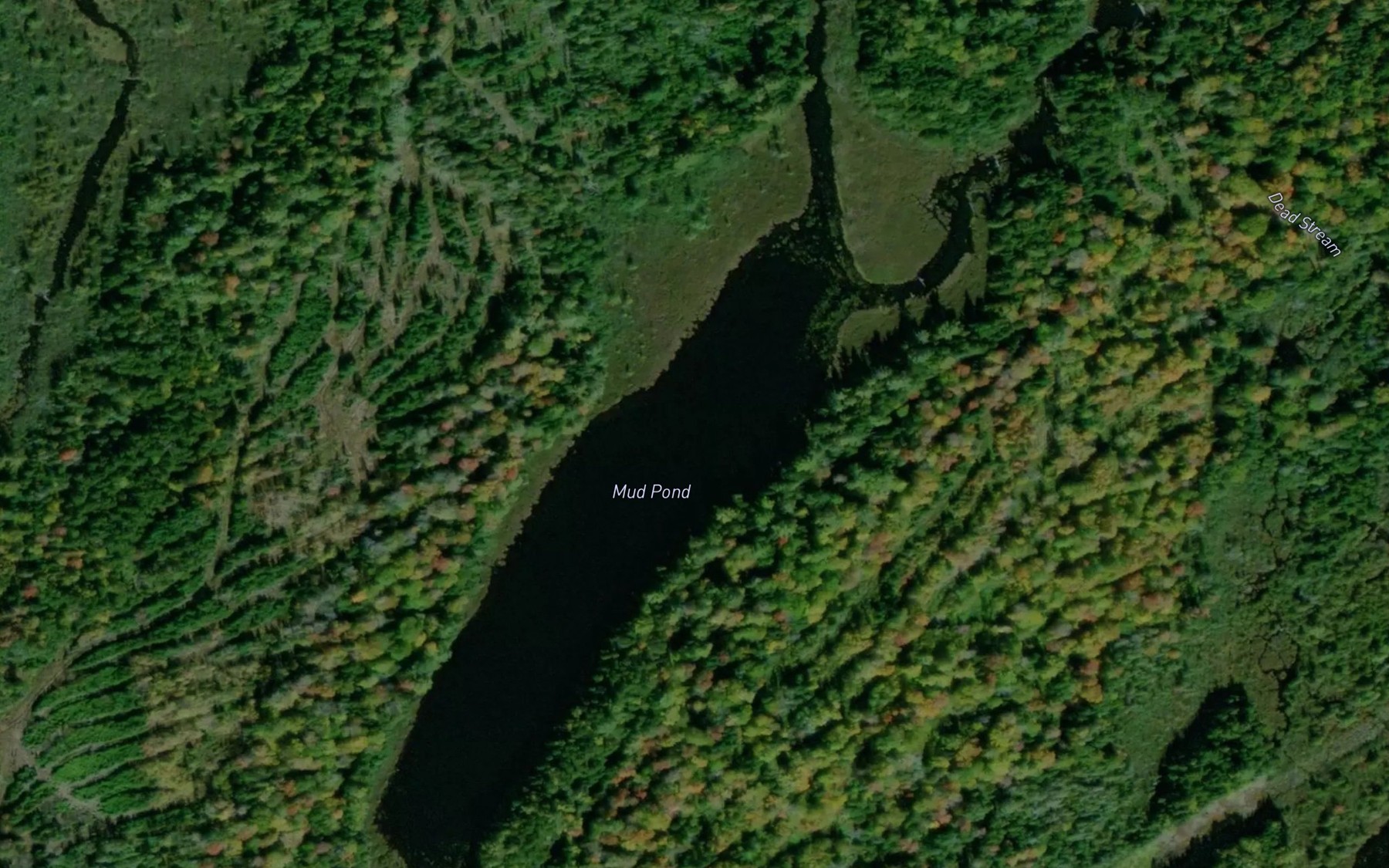 Satellite map of the Mud Pond