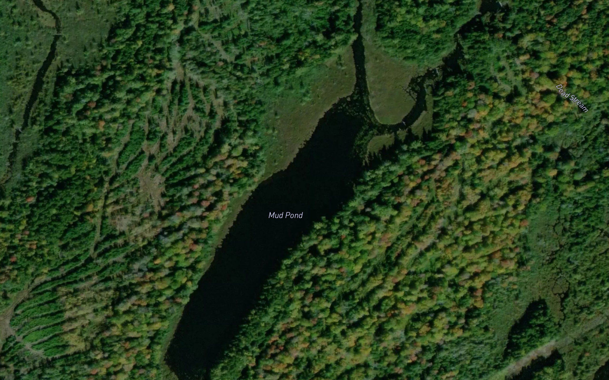 Mud Pond