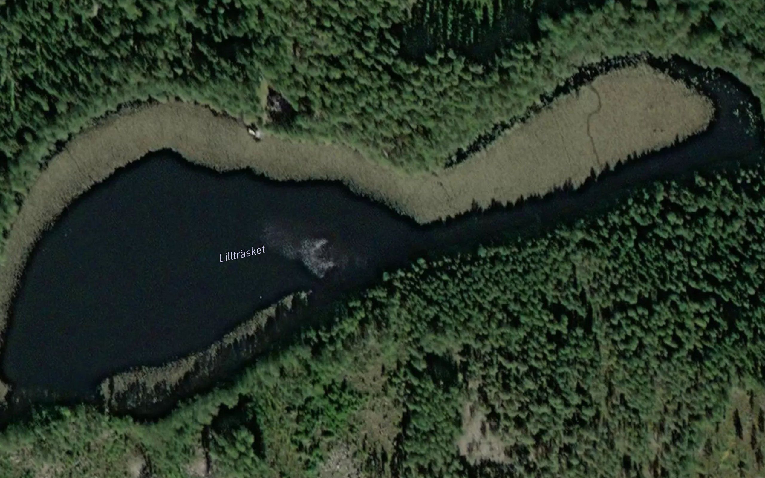 Lilltrasket