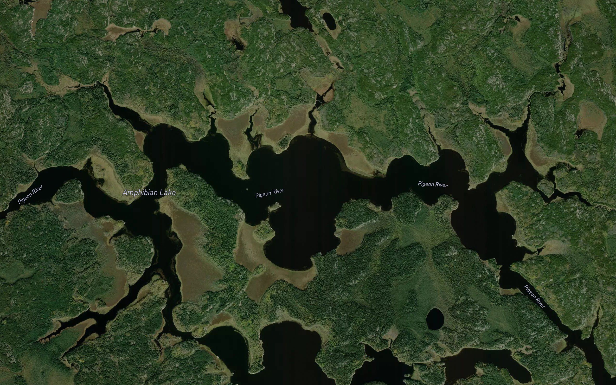 Amphibian Lake
