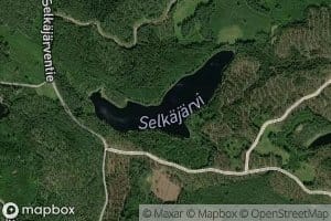 Selkajarvi