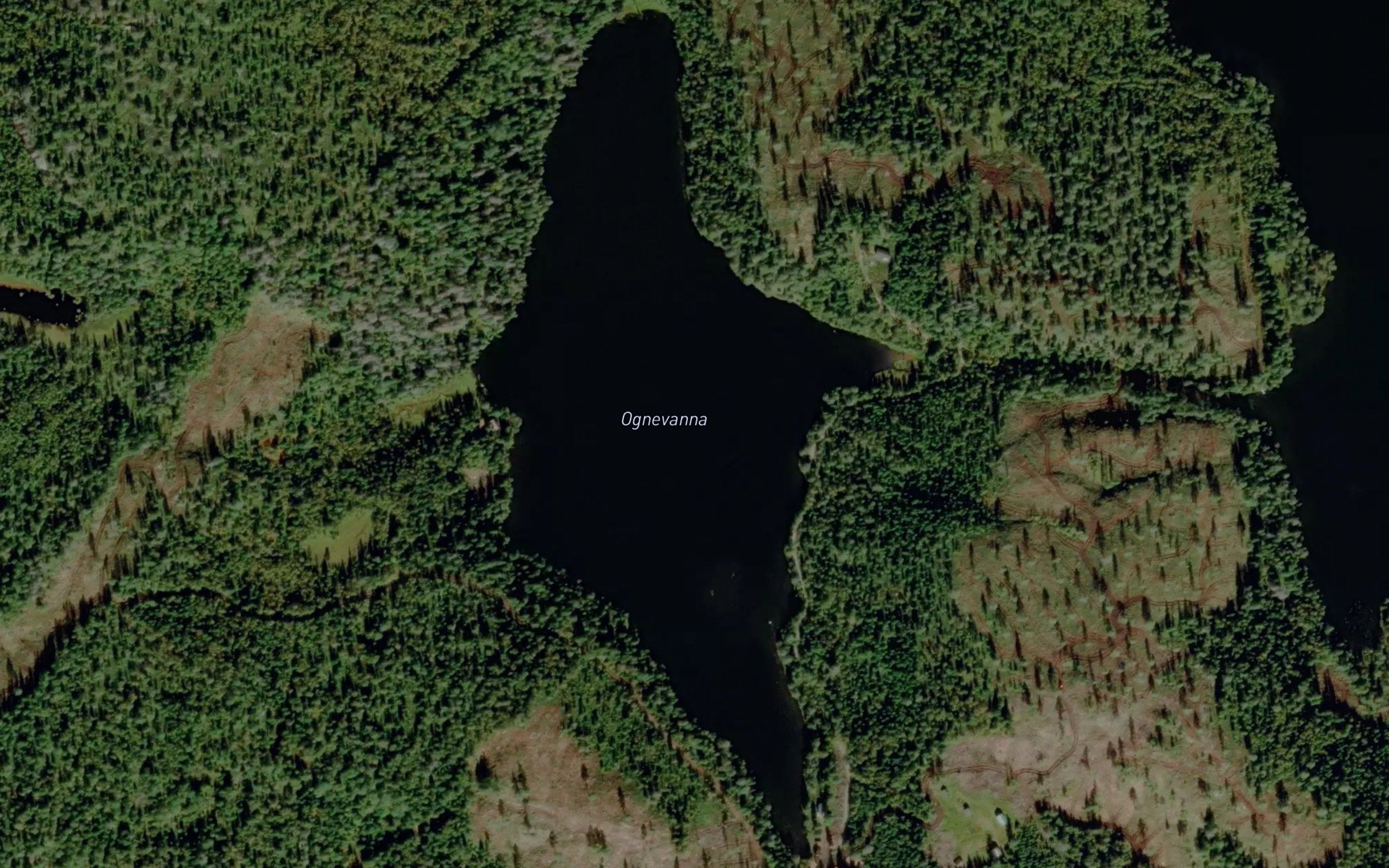 Store Oynevann