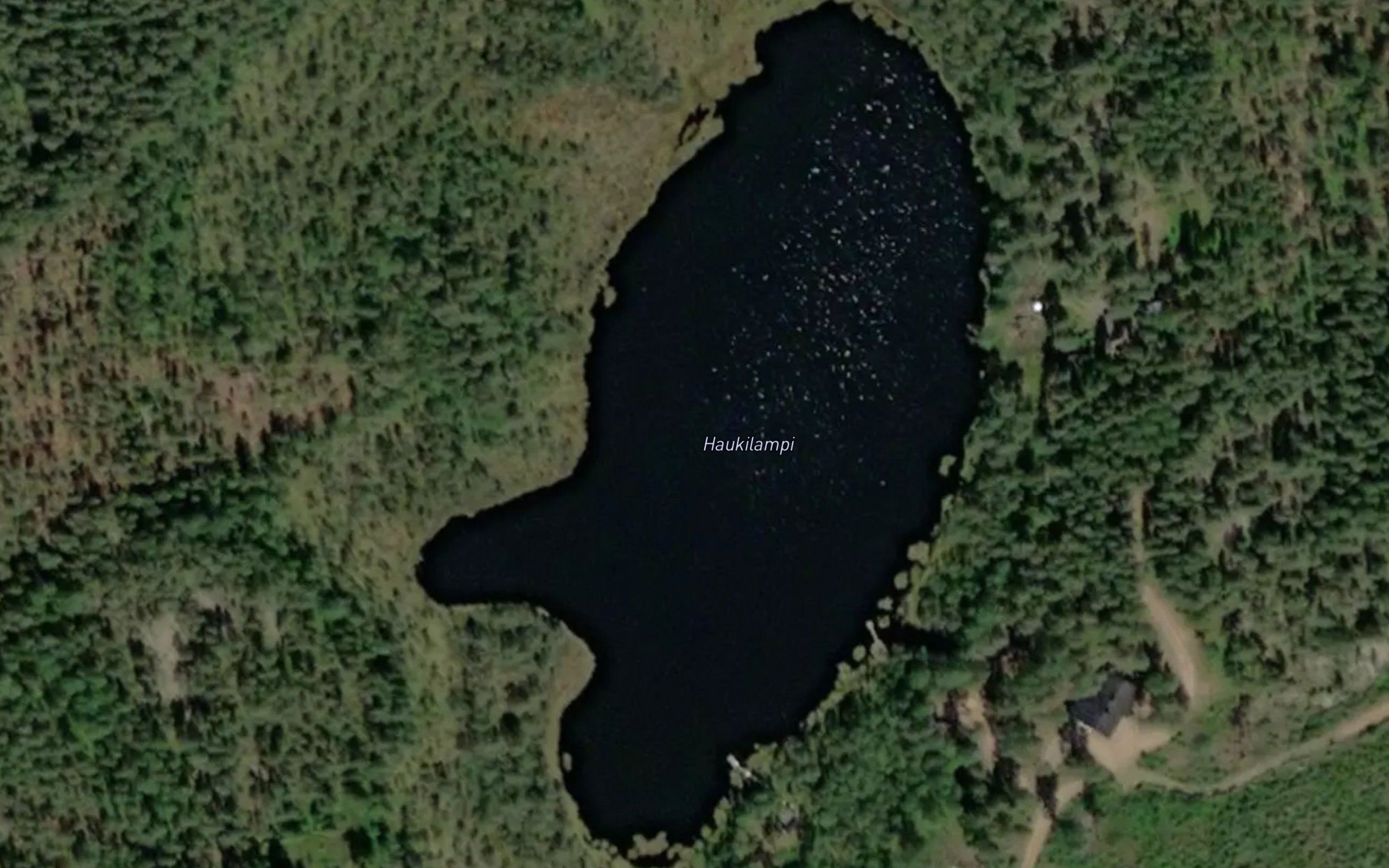 Haukilampi