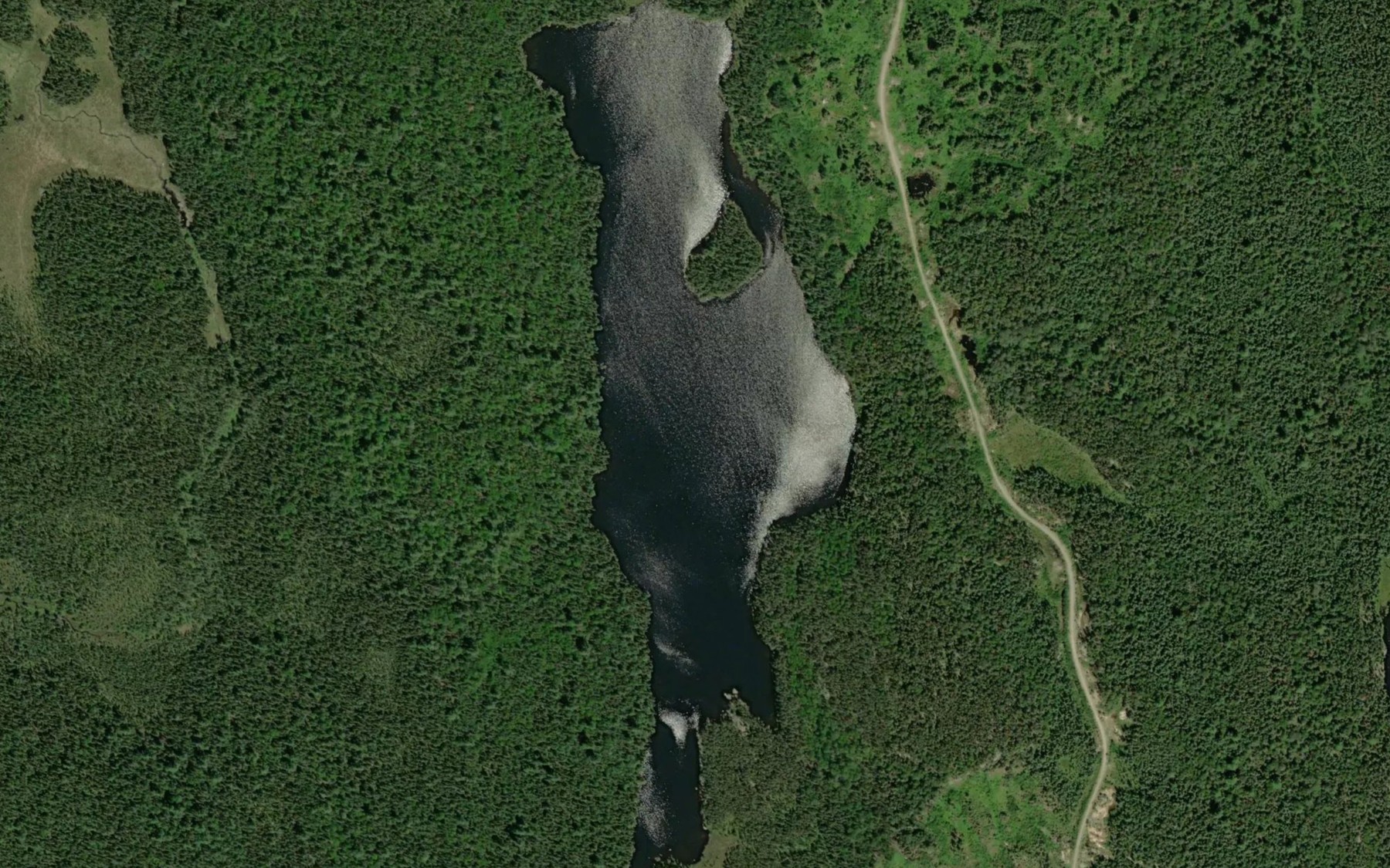 Satellite map of the Hartman Lake