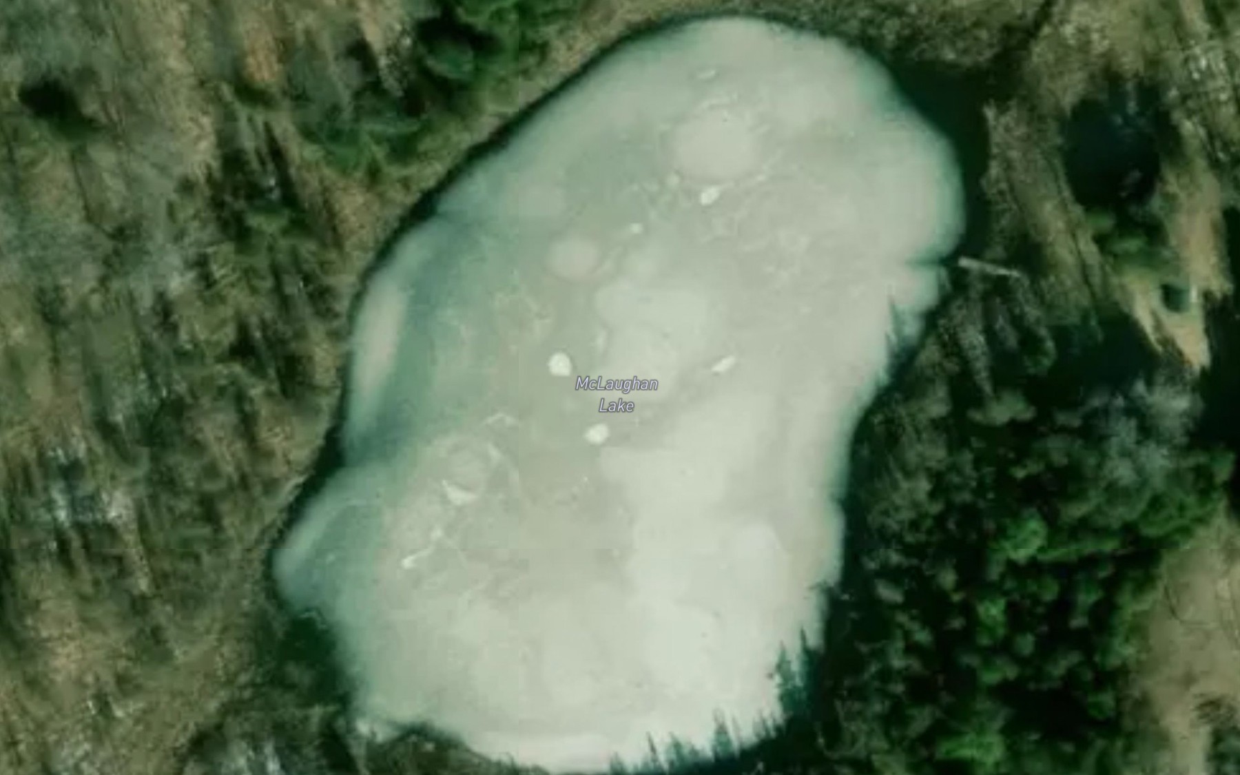 Satellite map of the McLaughan Lake