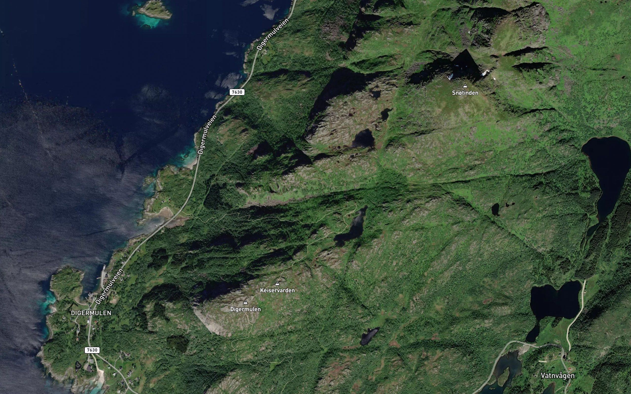 Oselva