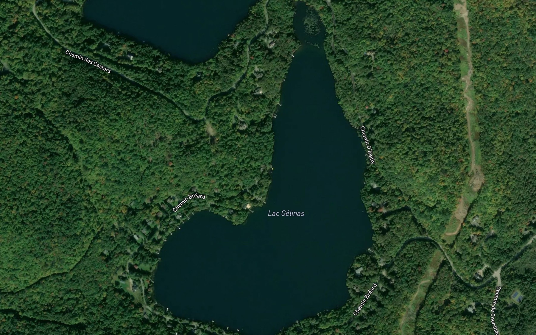 Satellite map of the Lac Gelinas