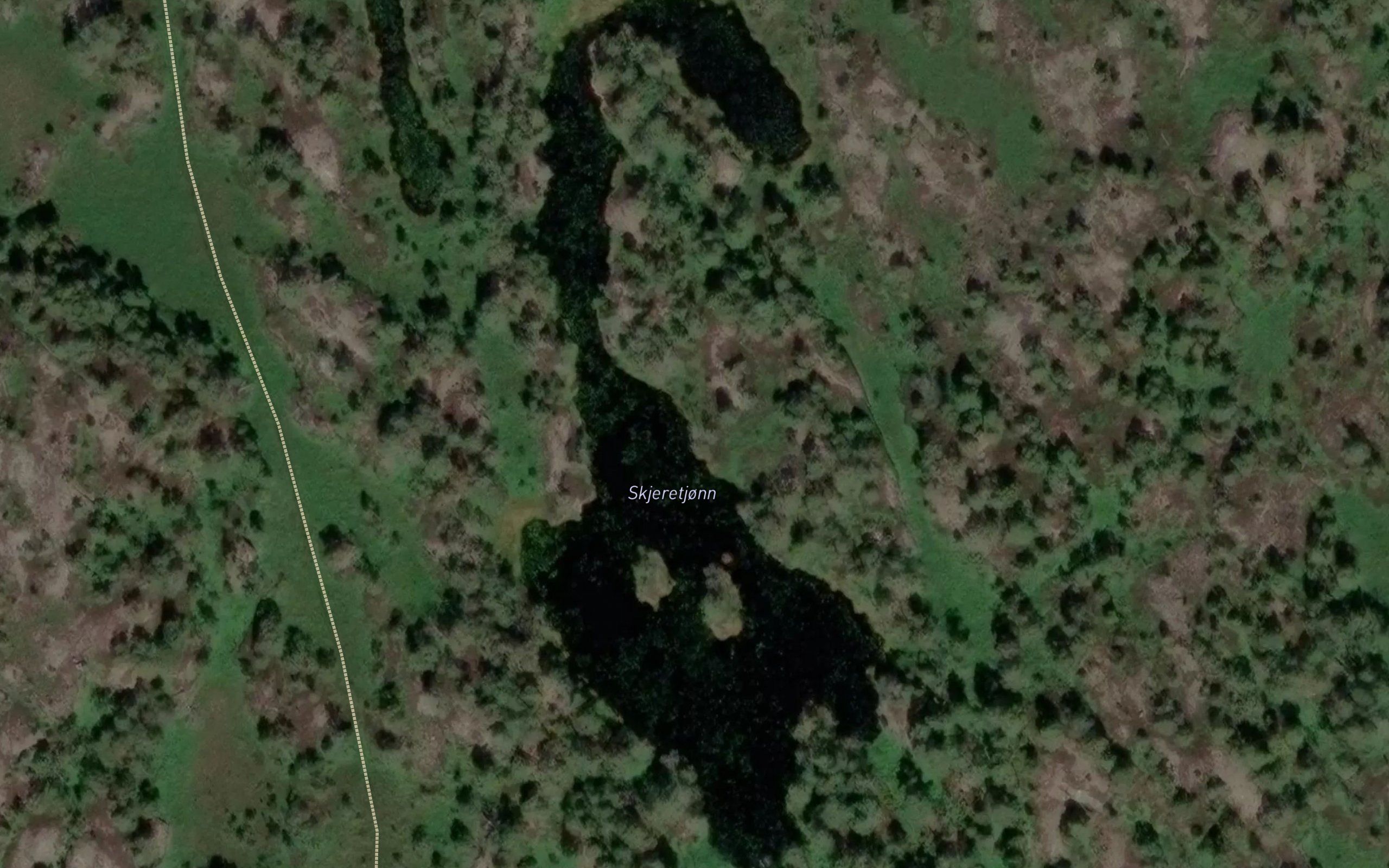Skjeretjonn