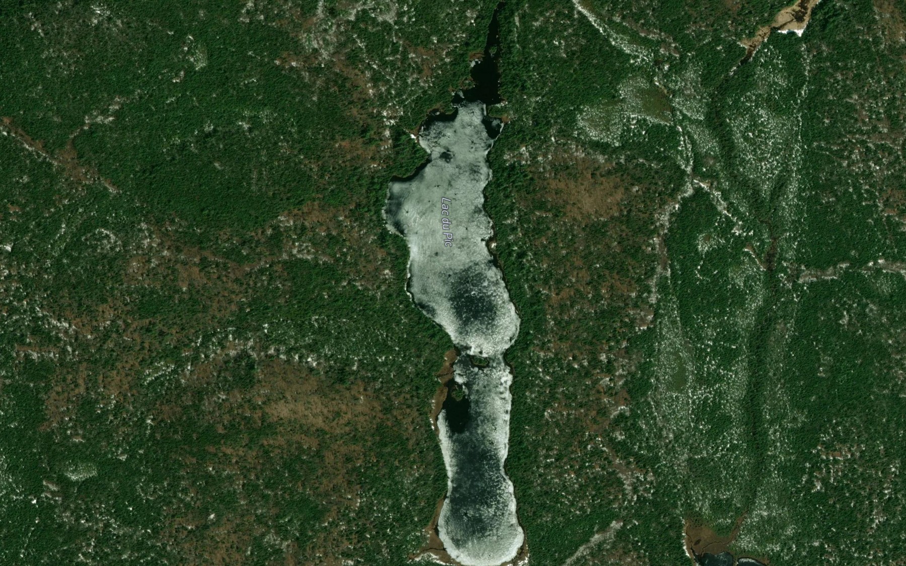 Satellite map of the Lac du Pic