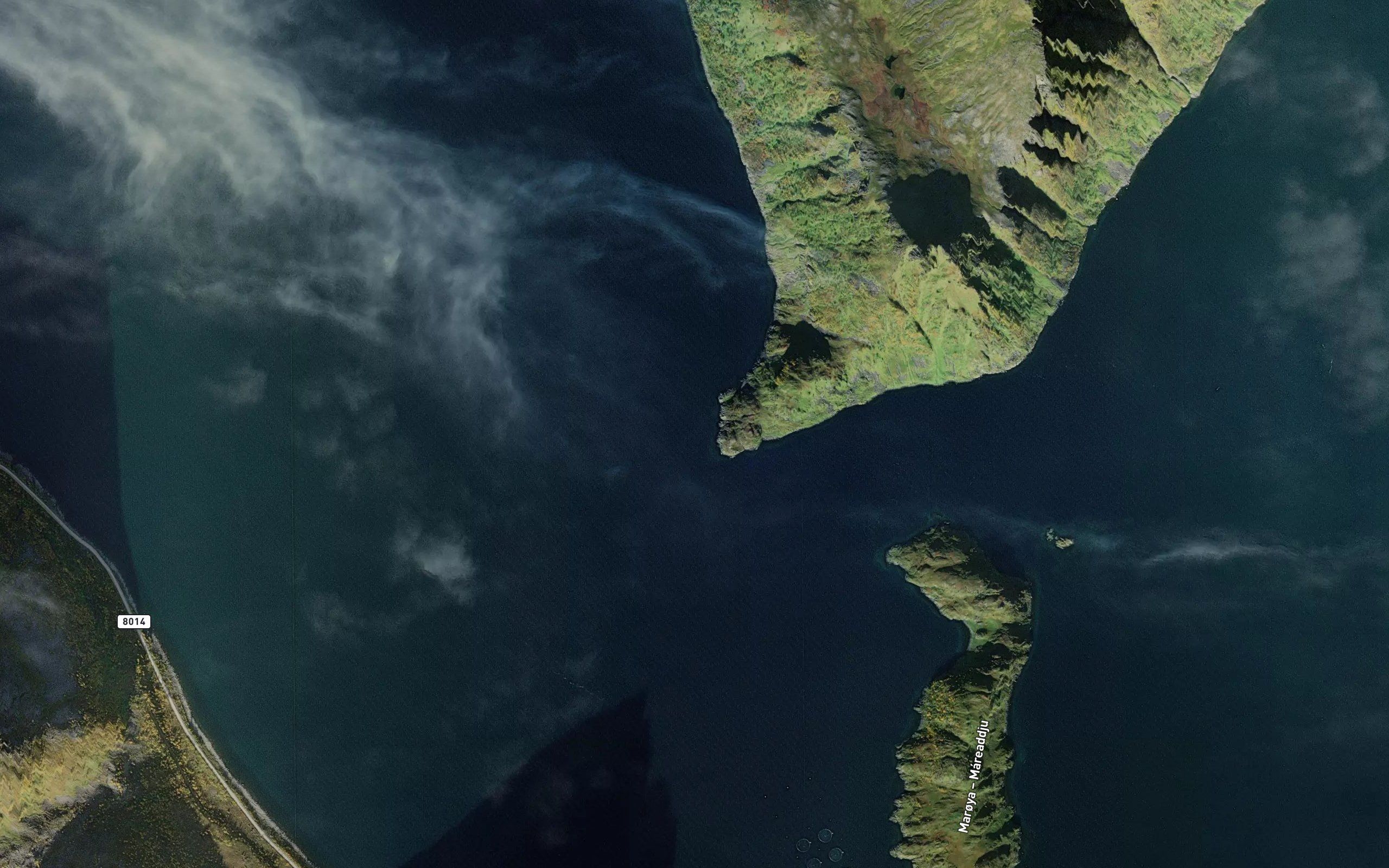 Sildspordgrunnen