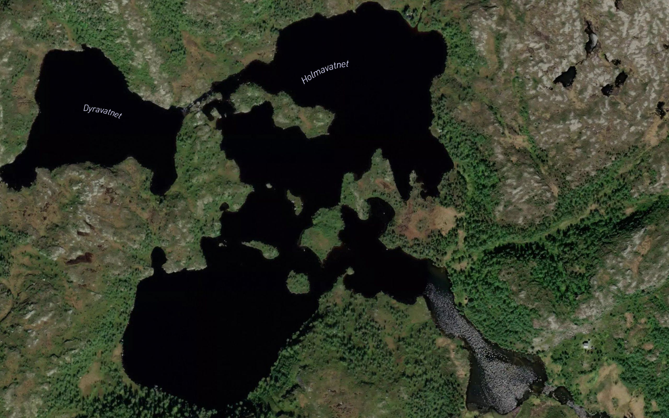 Holmavatnet