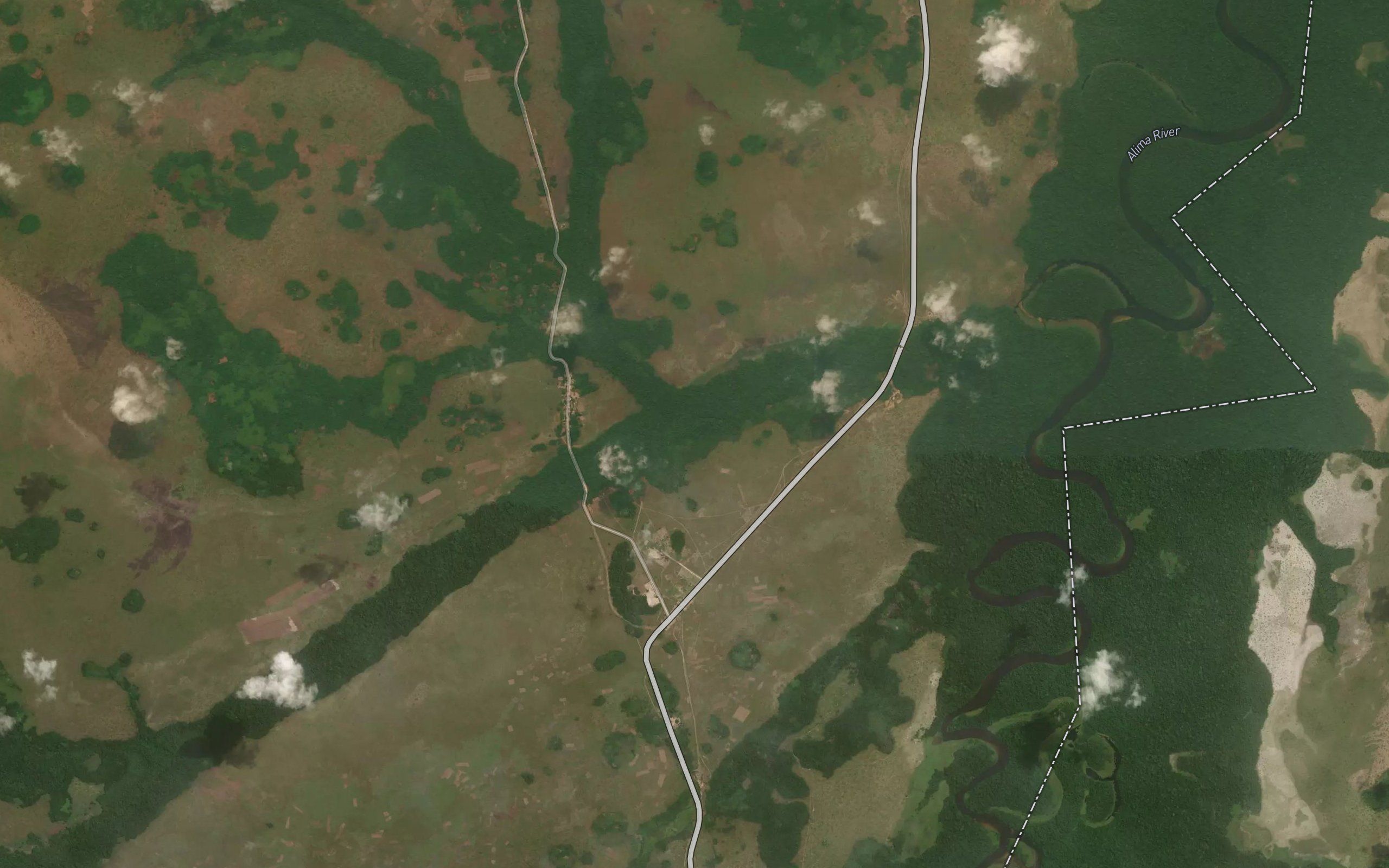Lekori