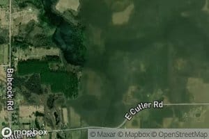 Mud Creek