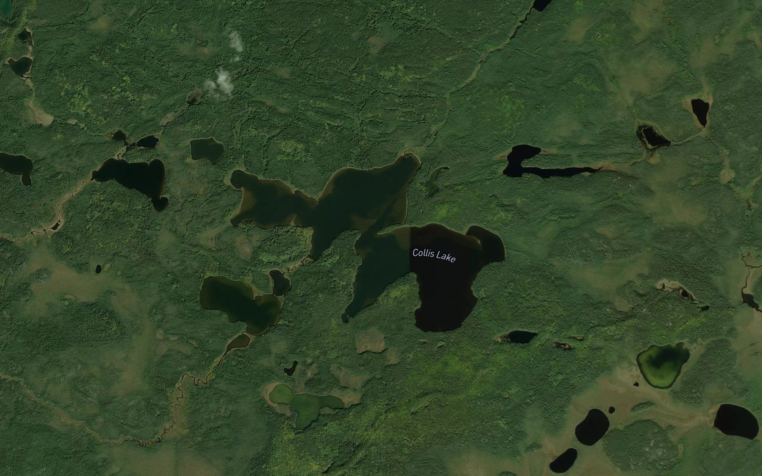Collis Lake