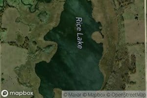 Rice Lake
