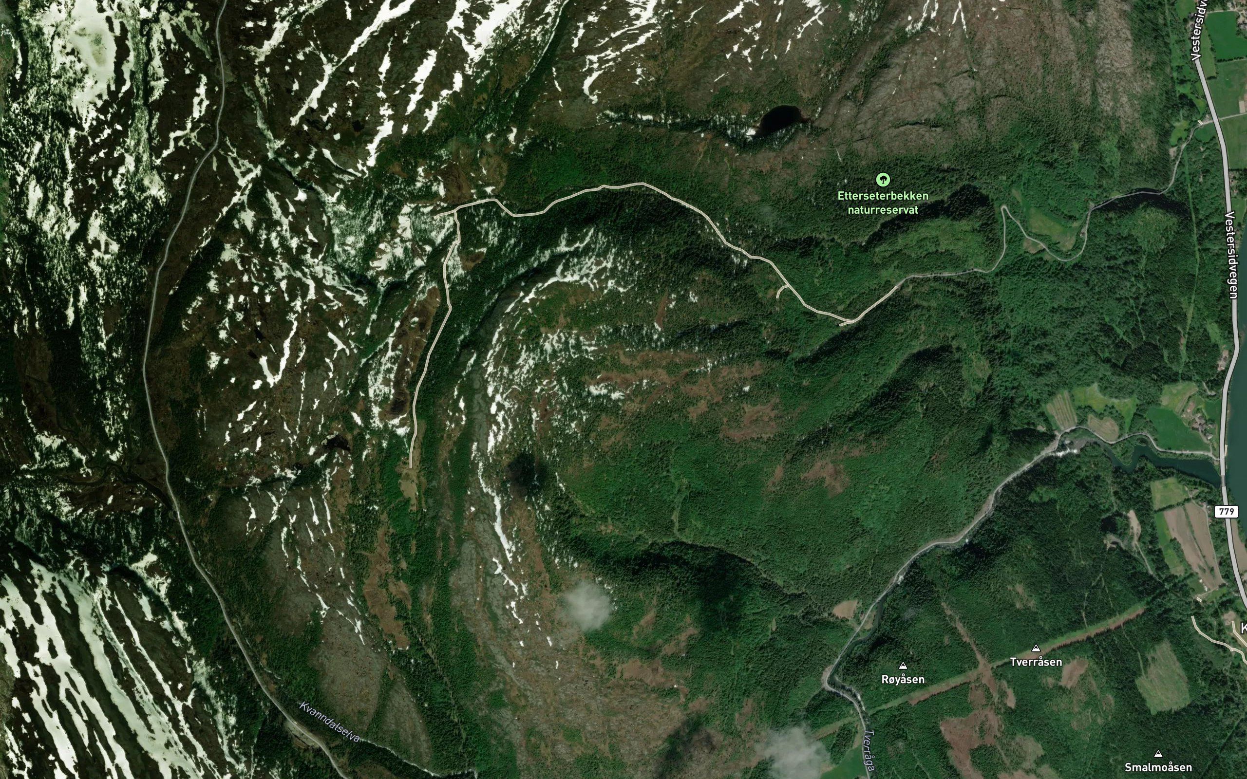 Gronlitjonna