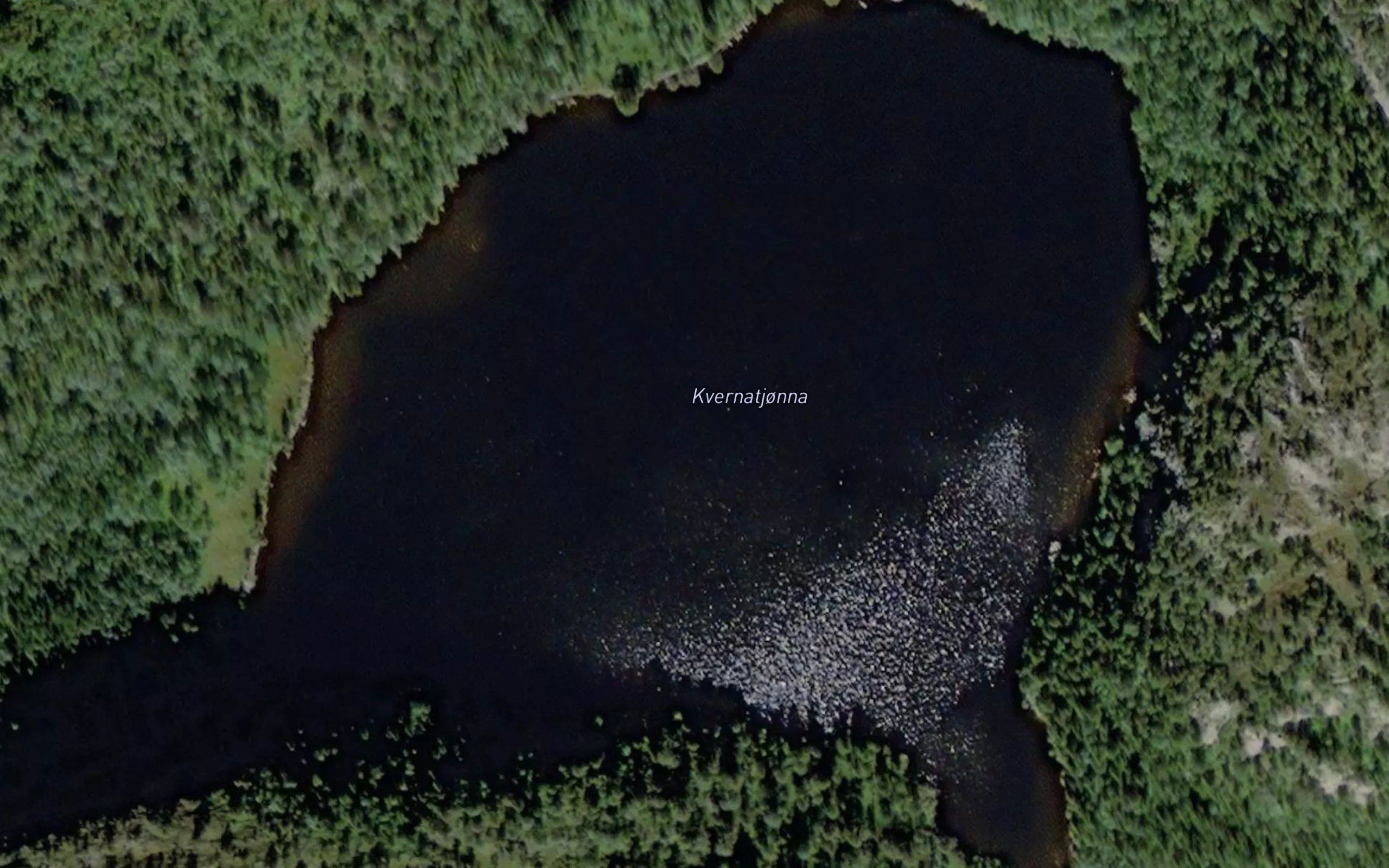 Kvennatjorna