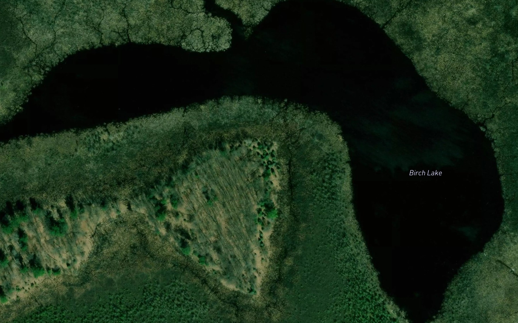 Satellite map of the Birch Lake