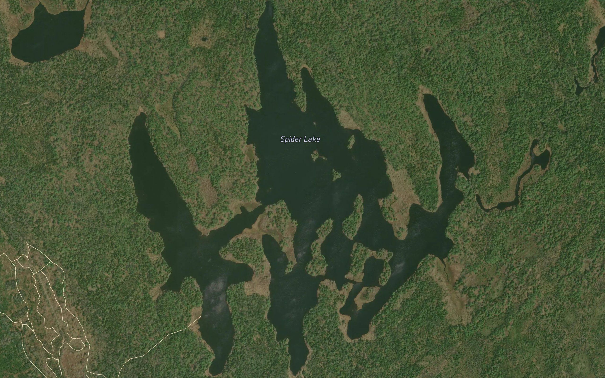 Spider Lake