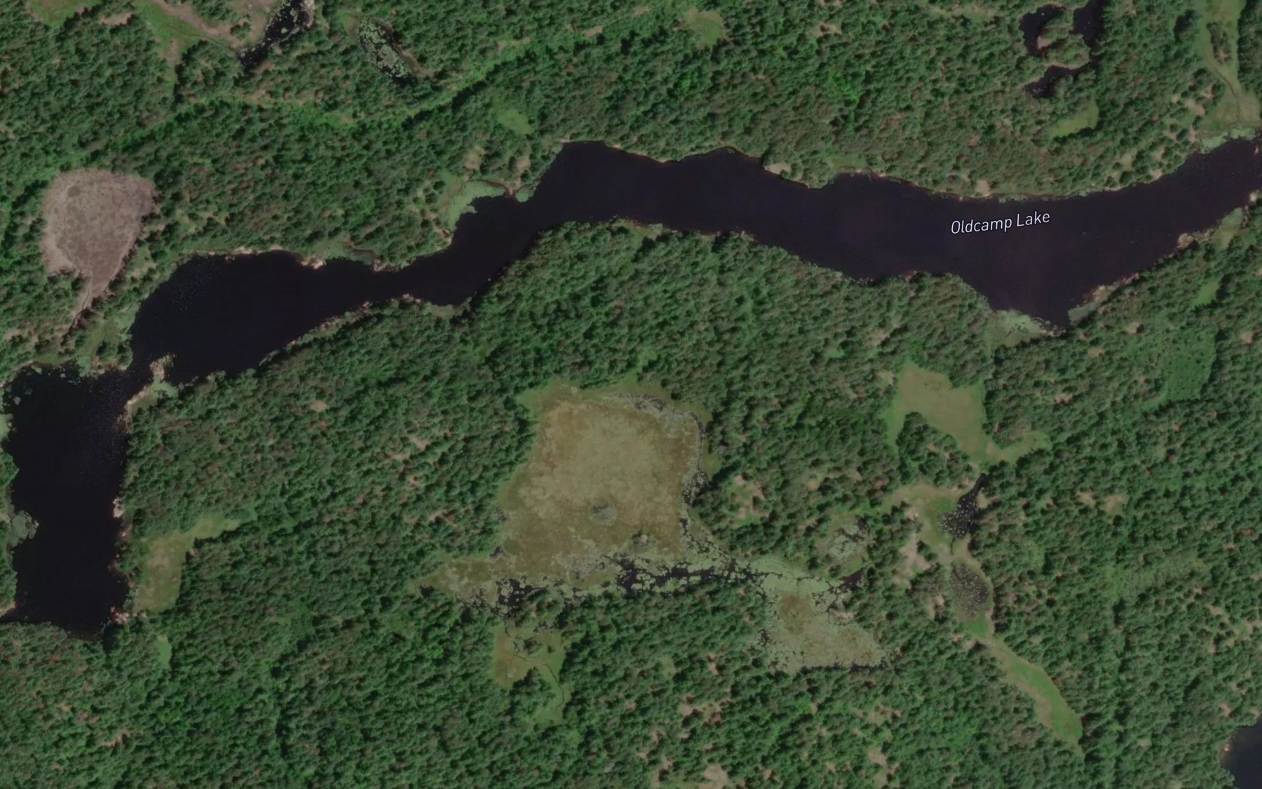 Satellite map of the Oldcamp Lake