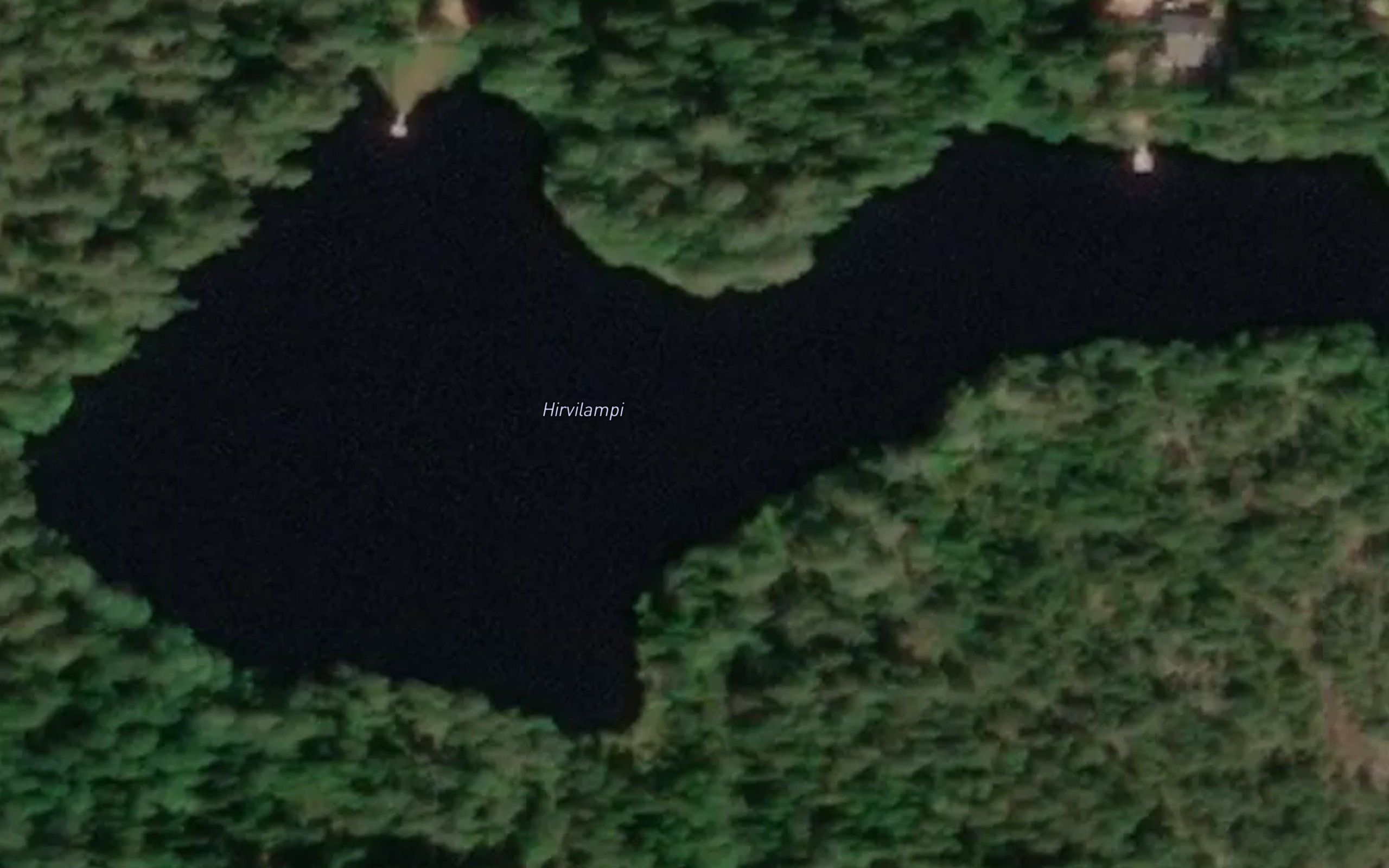 Hirvilammi