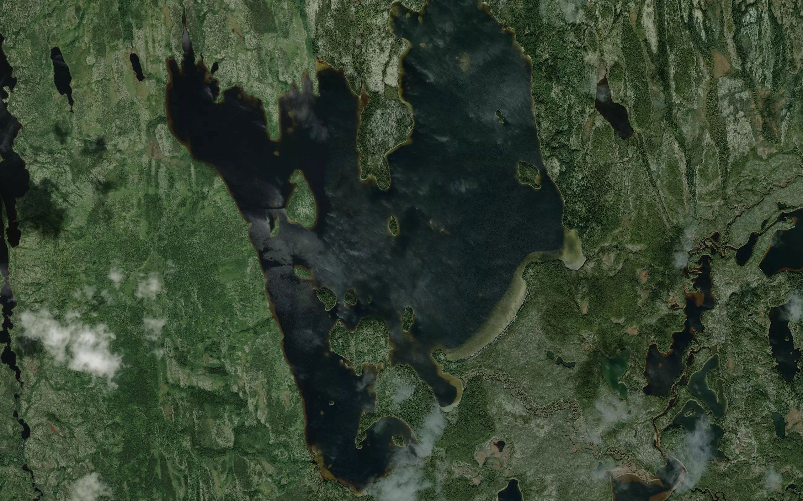 Lac des Bois Mous