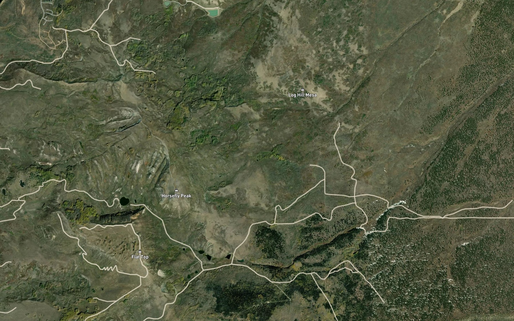 Satellite map of the Palmer Spring