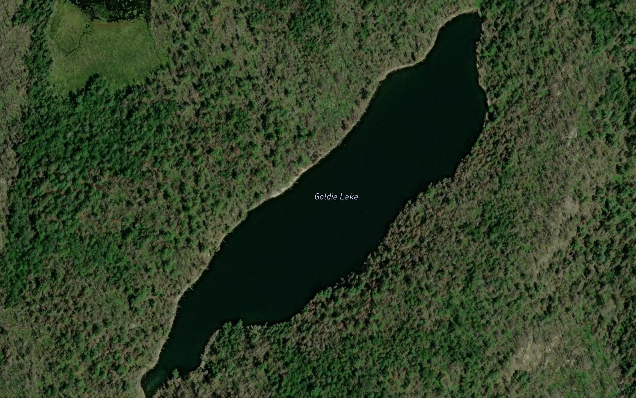 Goldie Lake