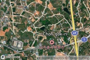 Sinchojeosuji
