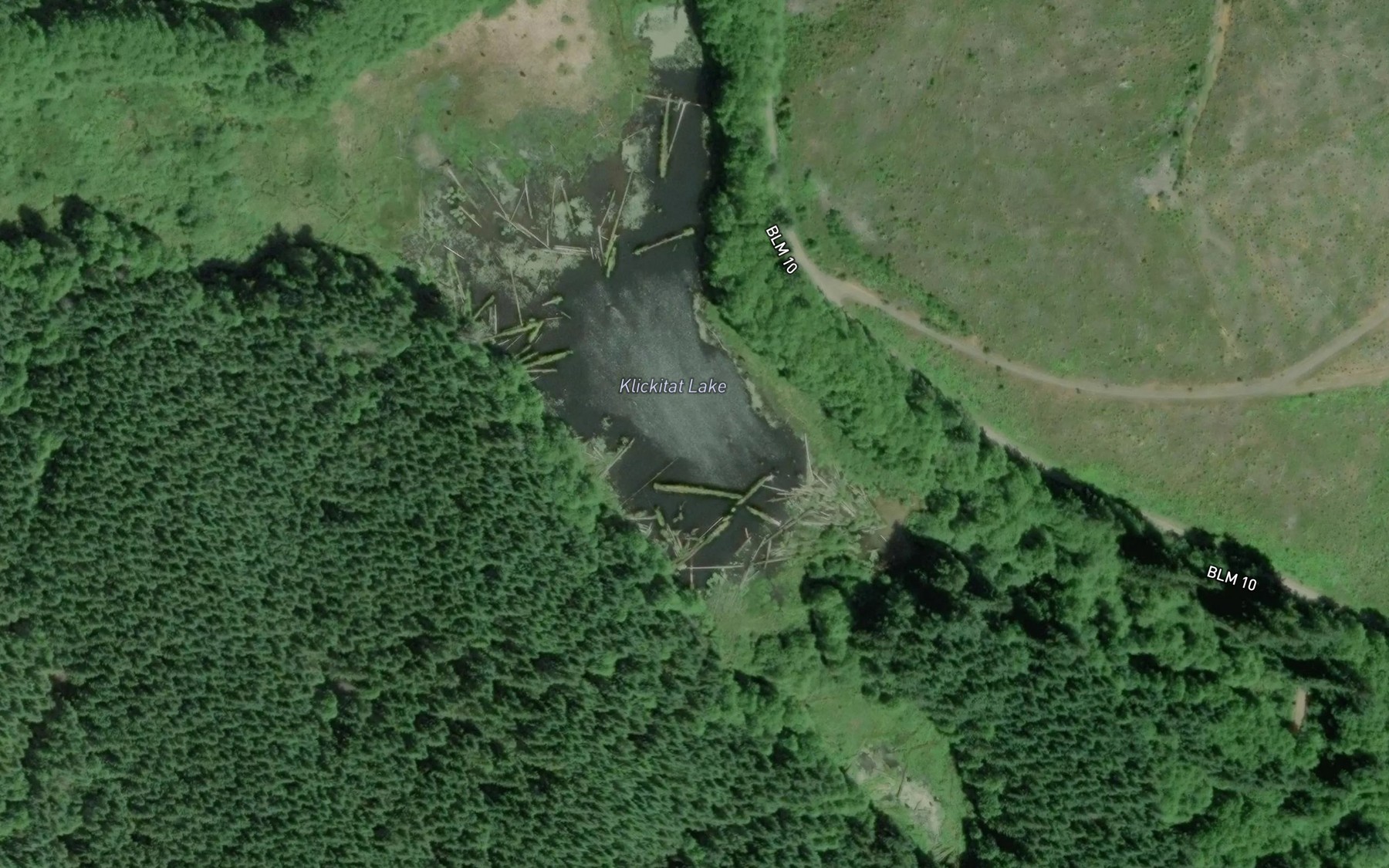 Satellite map of the Klickitat Lake