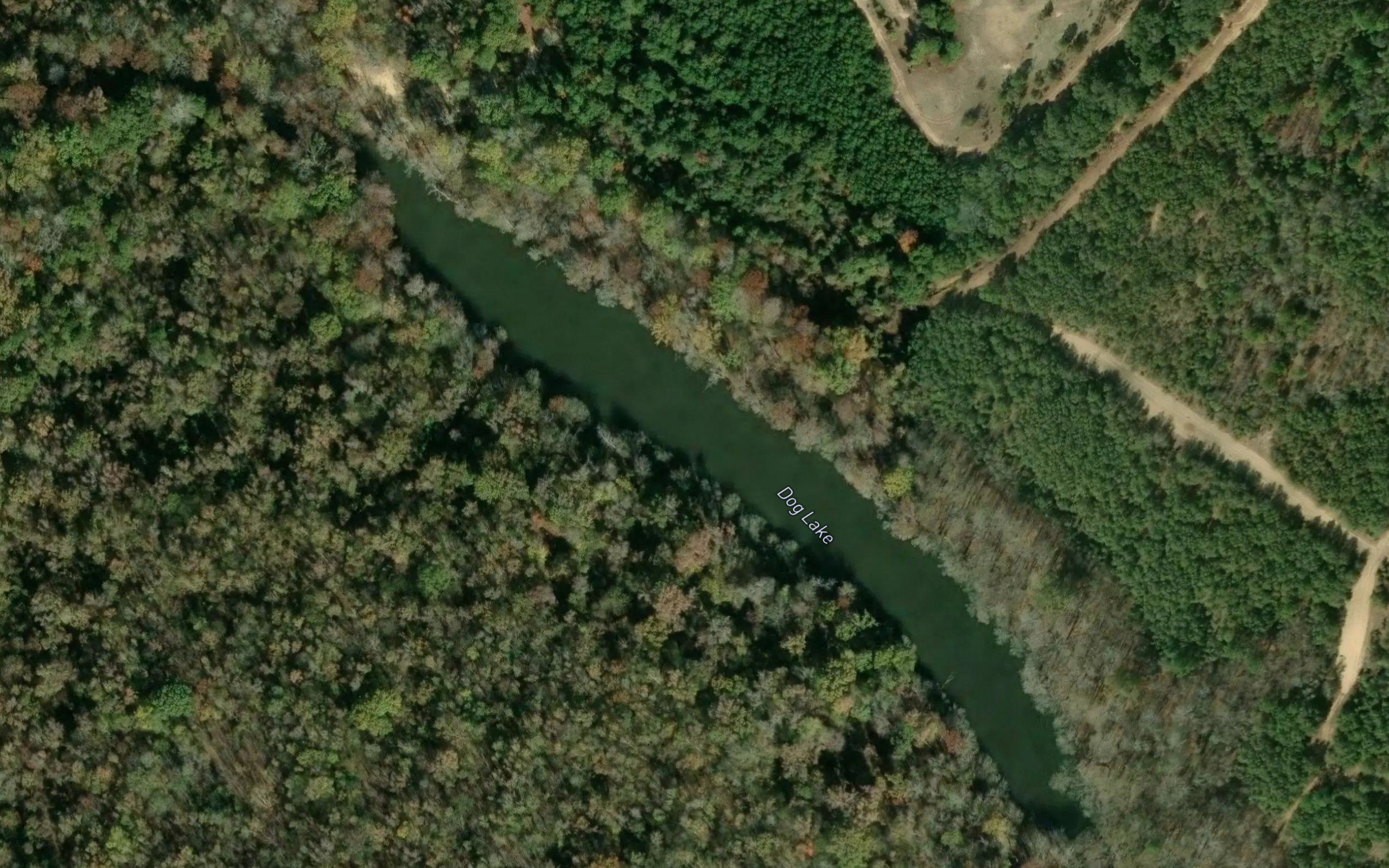 Dog Lake