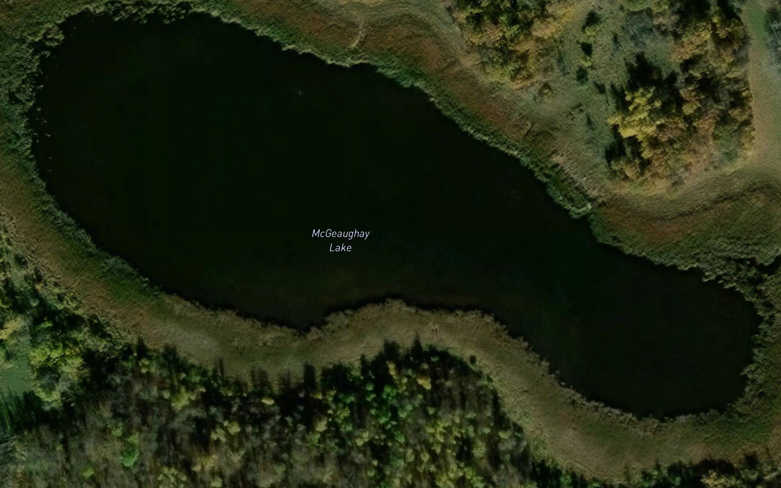 McGeaughay Lake