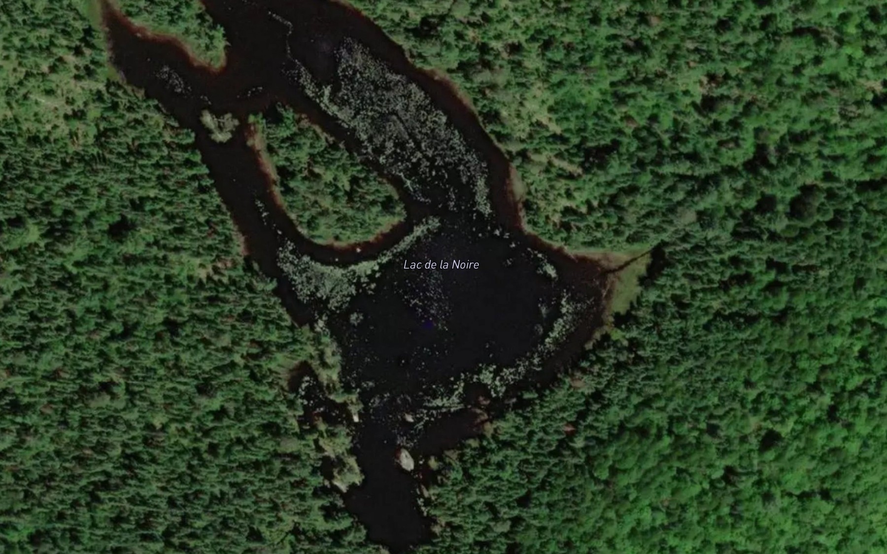 Satellite map of the Lac de la Noire