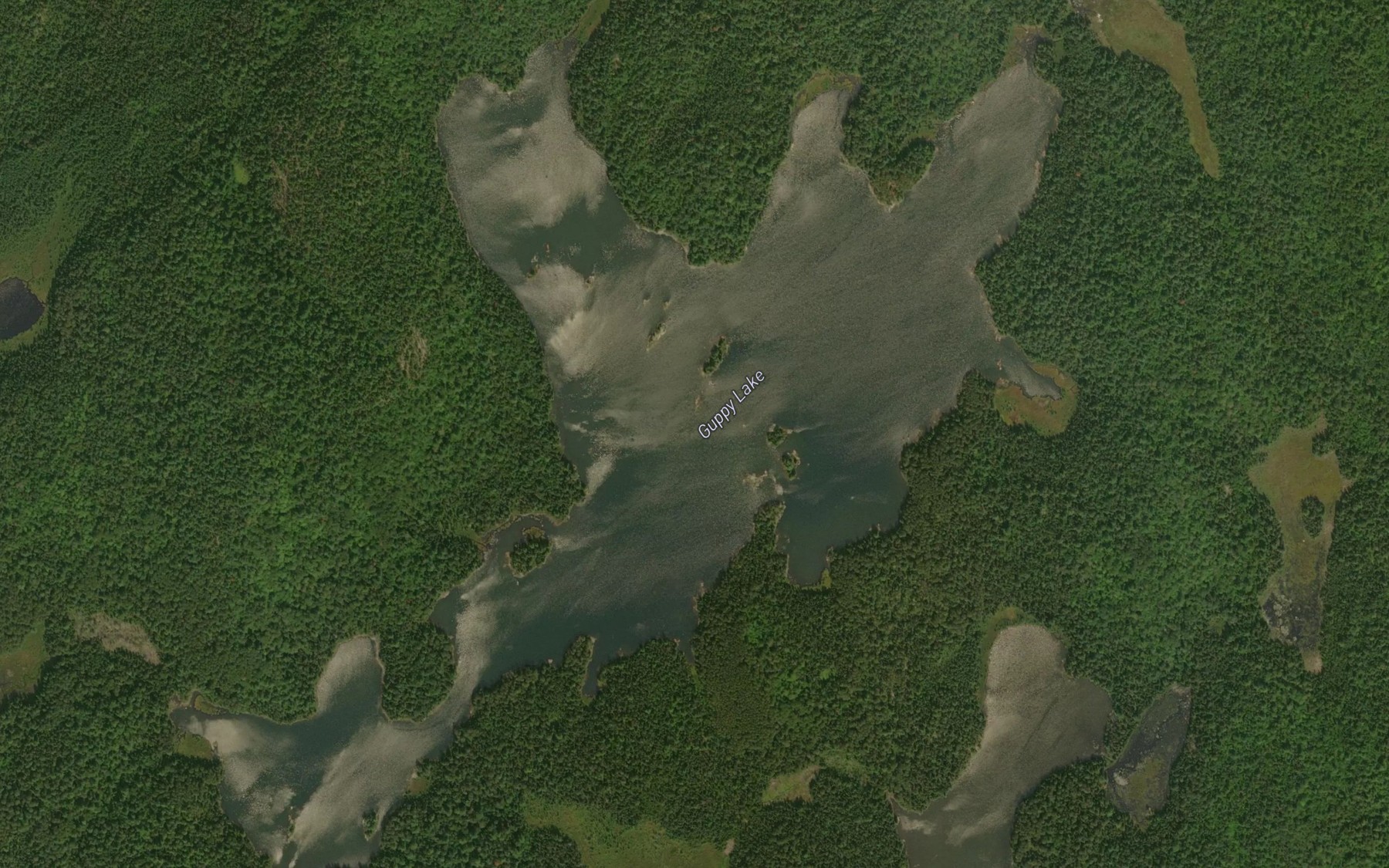 Satellite map of the Guppy Lake