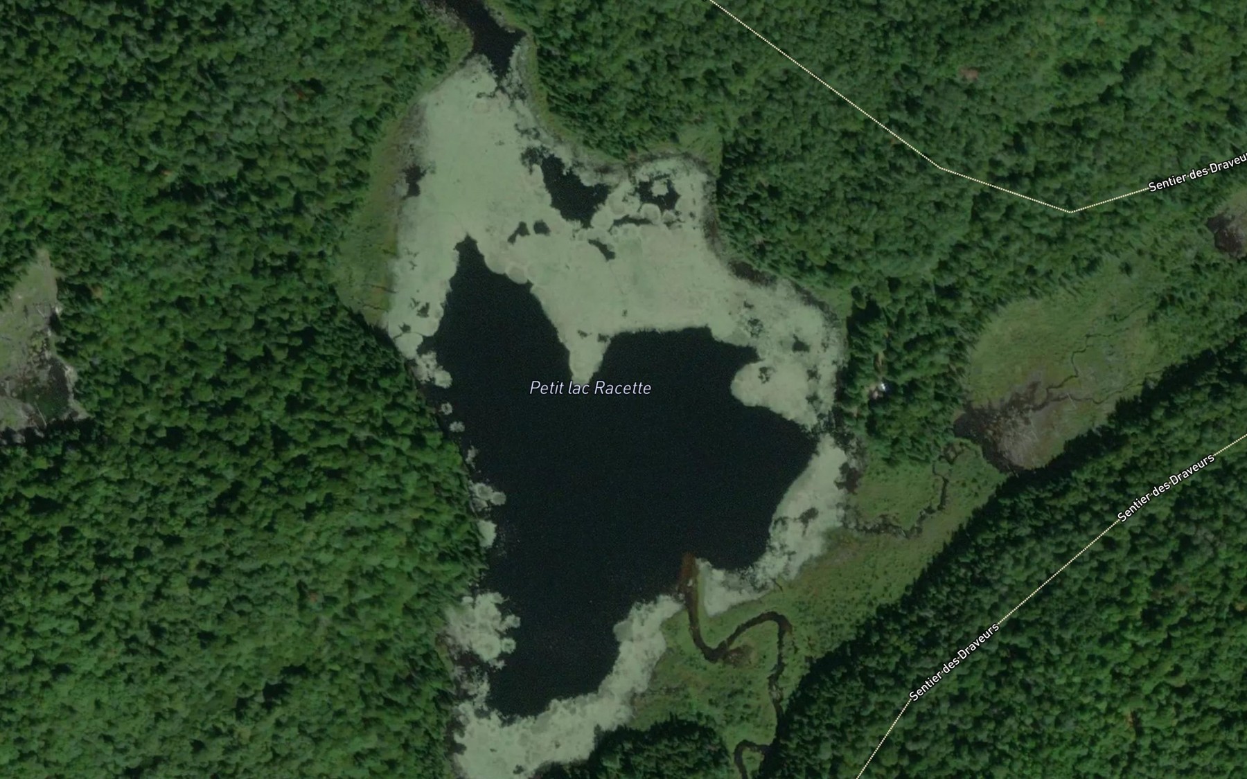 Satellite map of the Petit lac Racette