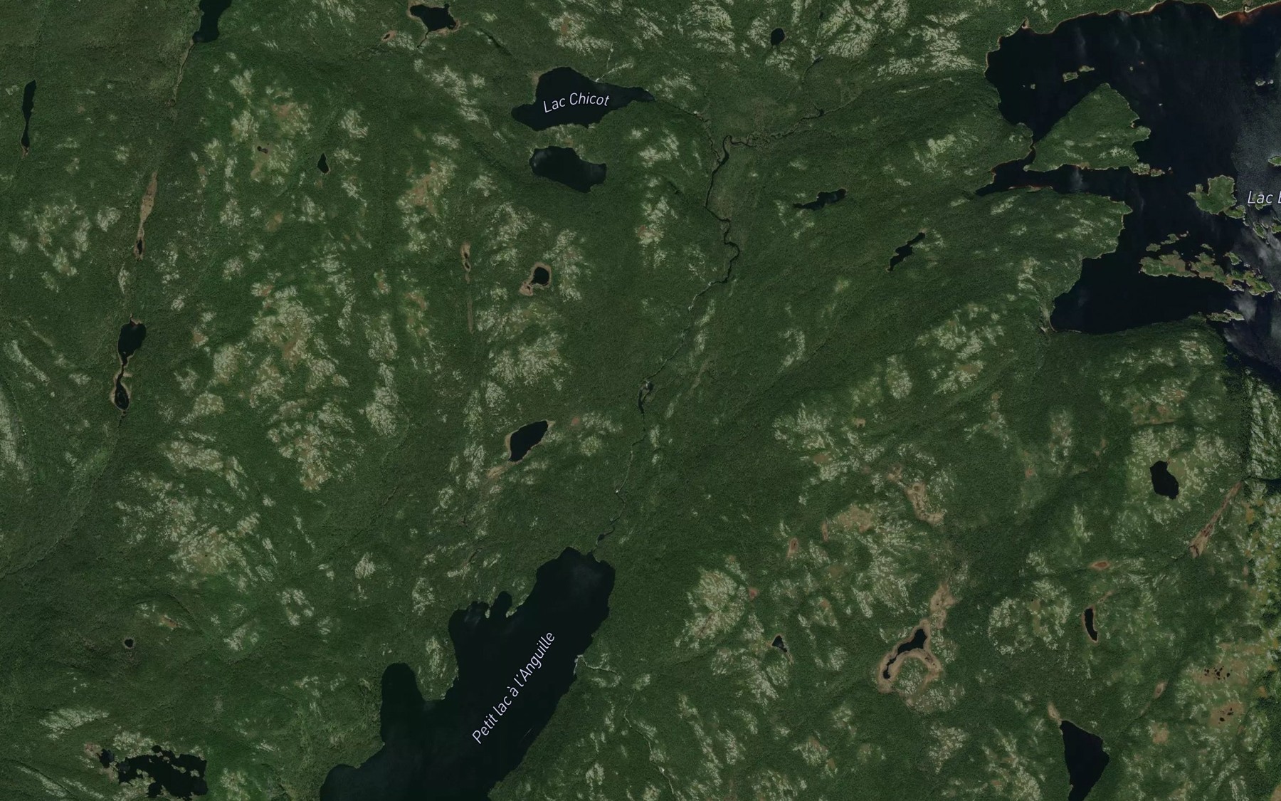 Satellite map of the Lac Evagre