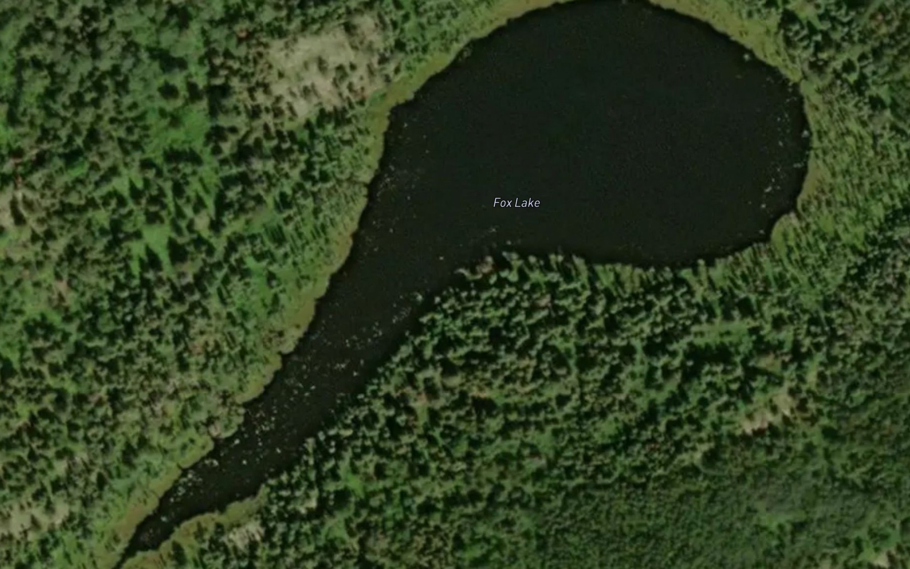Satellite map of the Fox Lake