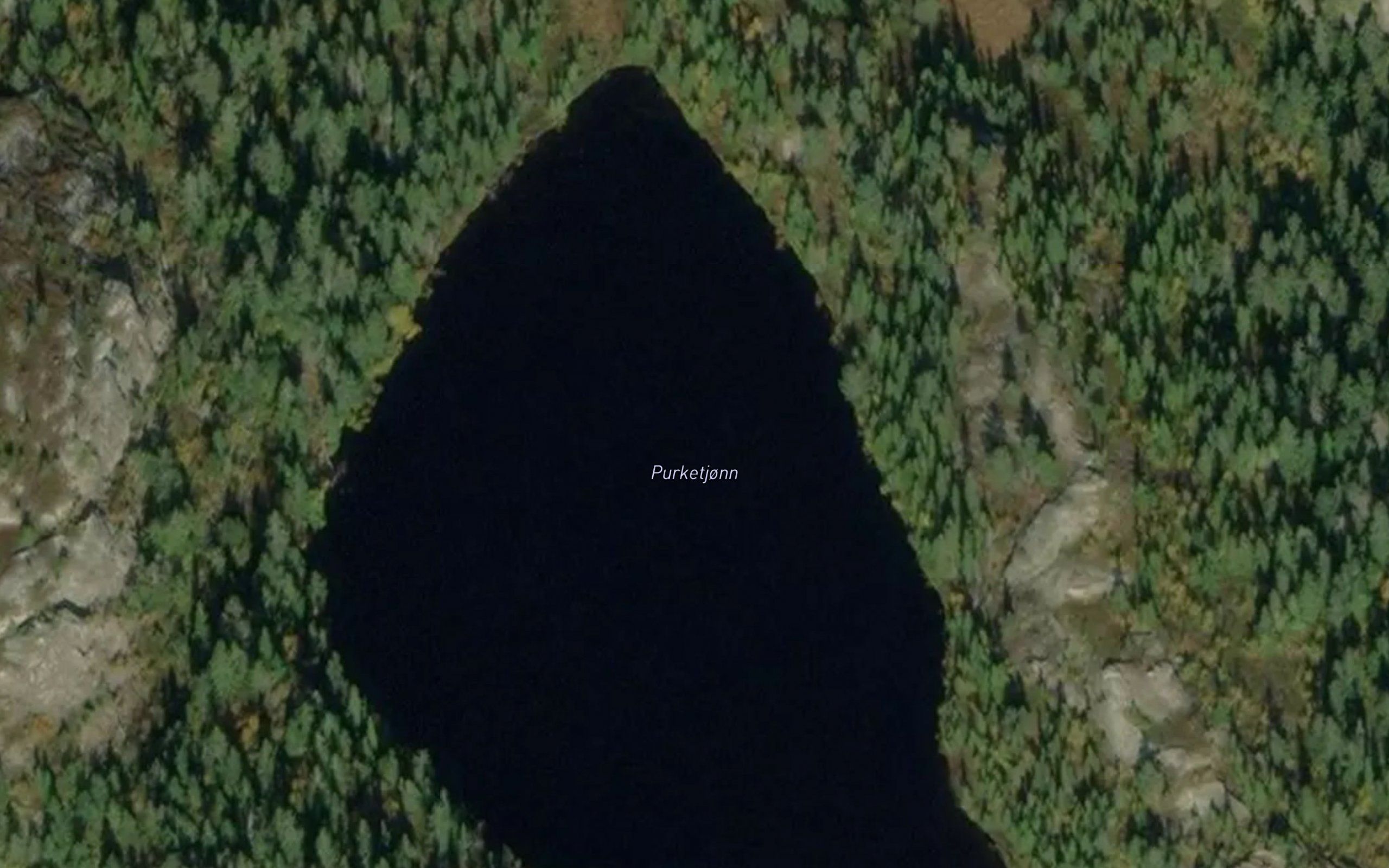 Purketjorn
