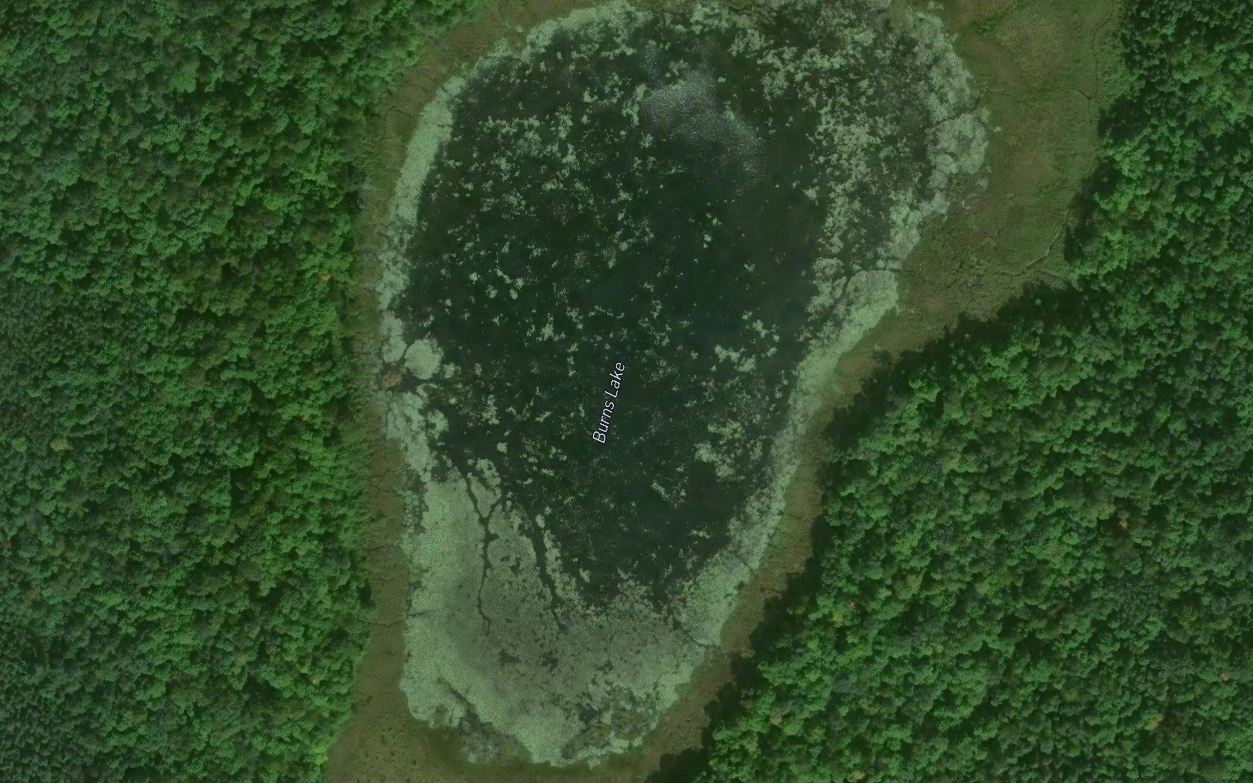 Burns Lake