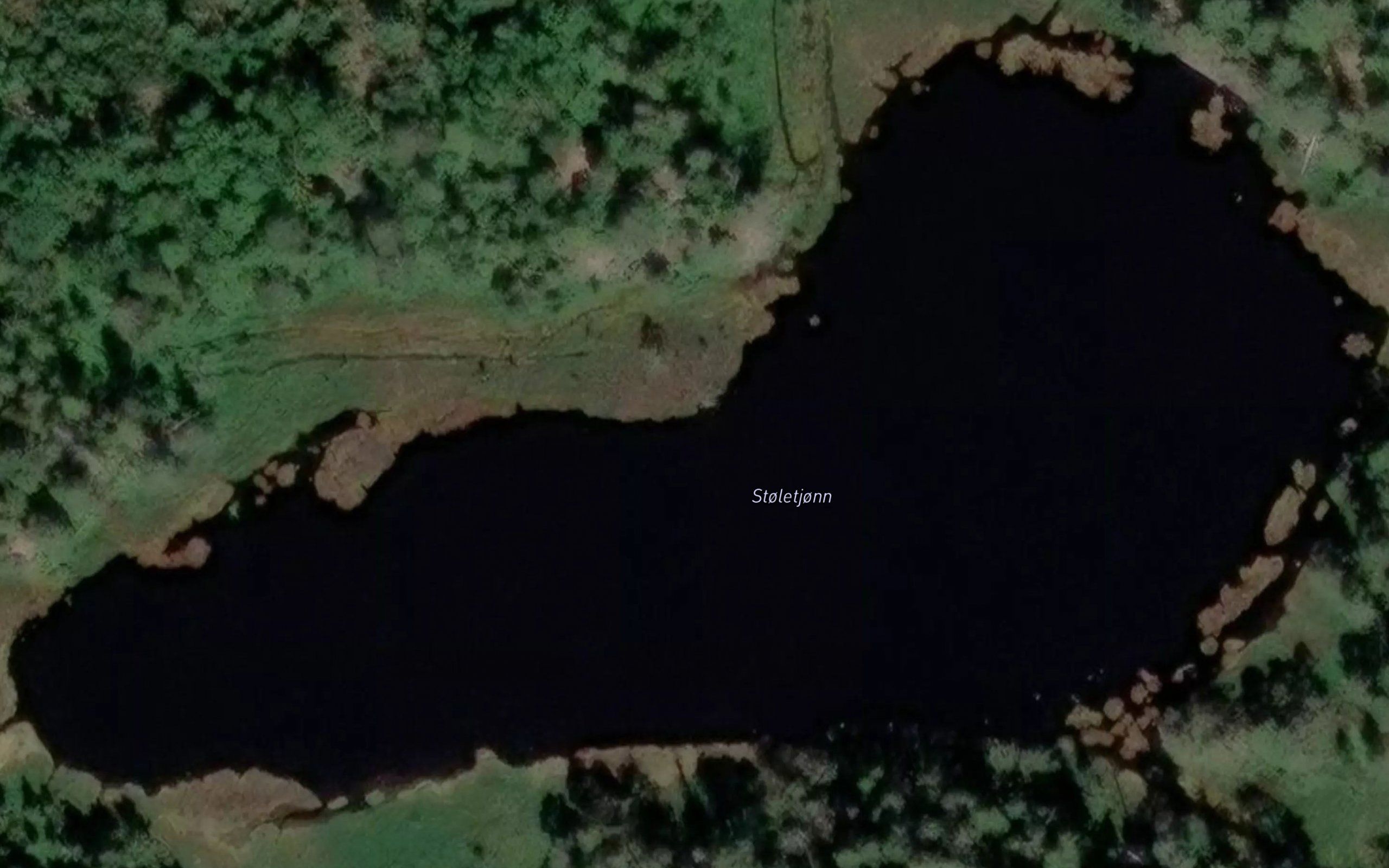 Stoletjonn