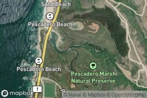 Pescadero Creek