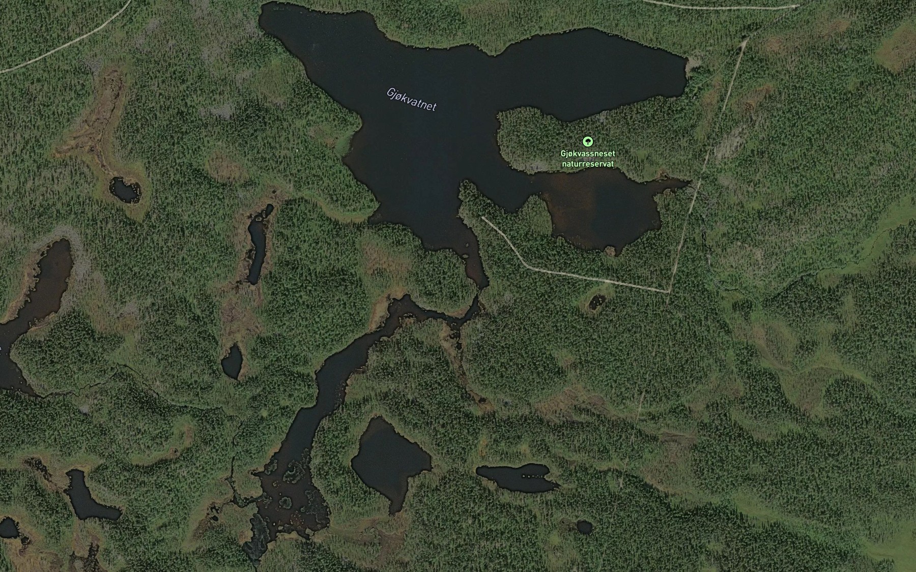 Satellite map of the Gjokvatnet