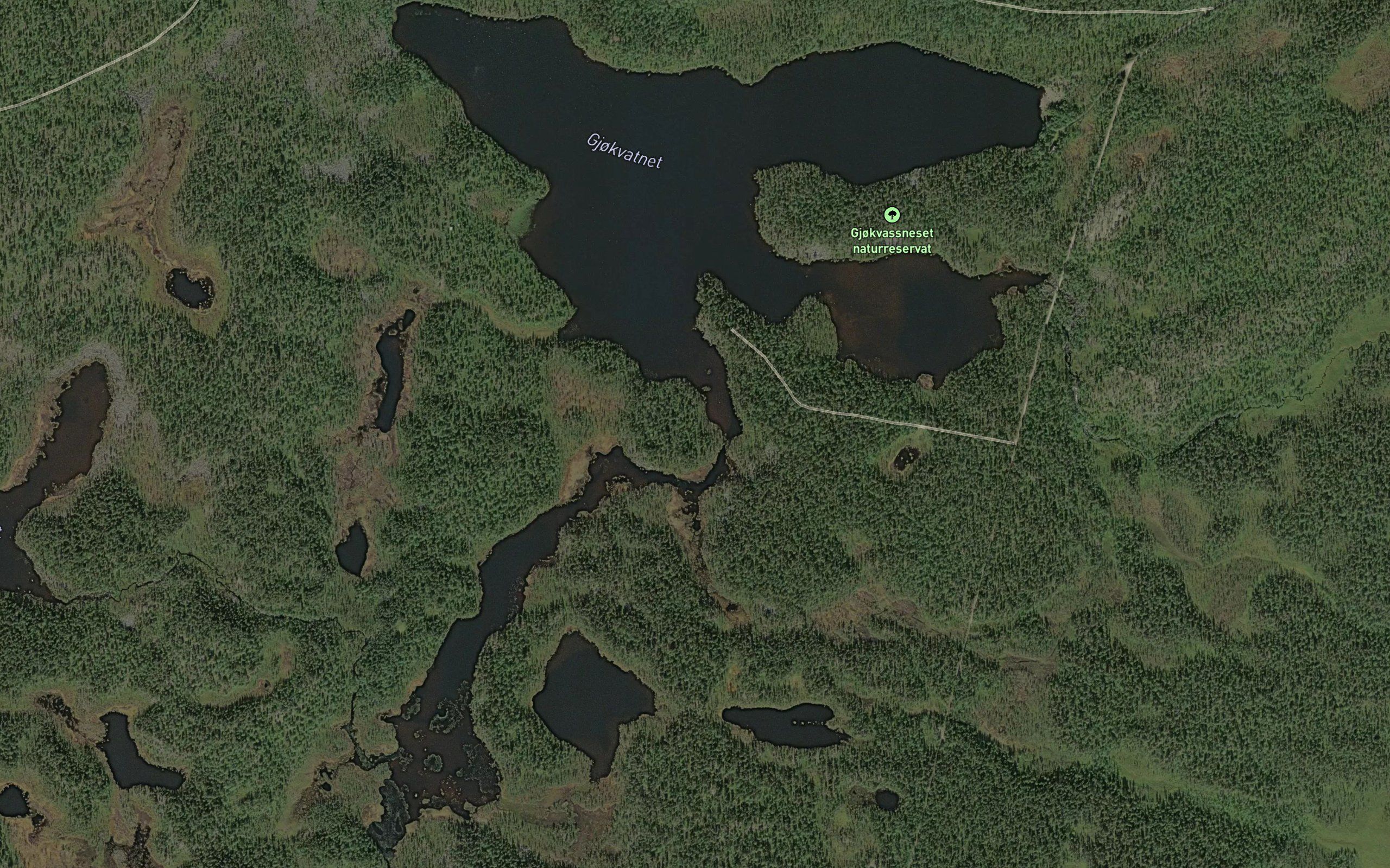 Gjokvatnet
